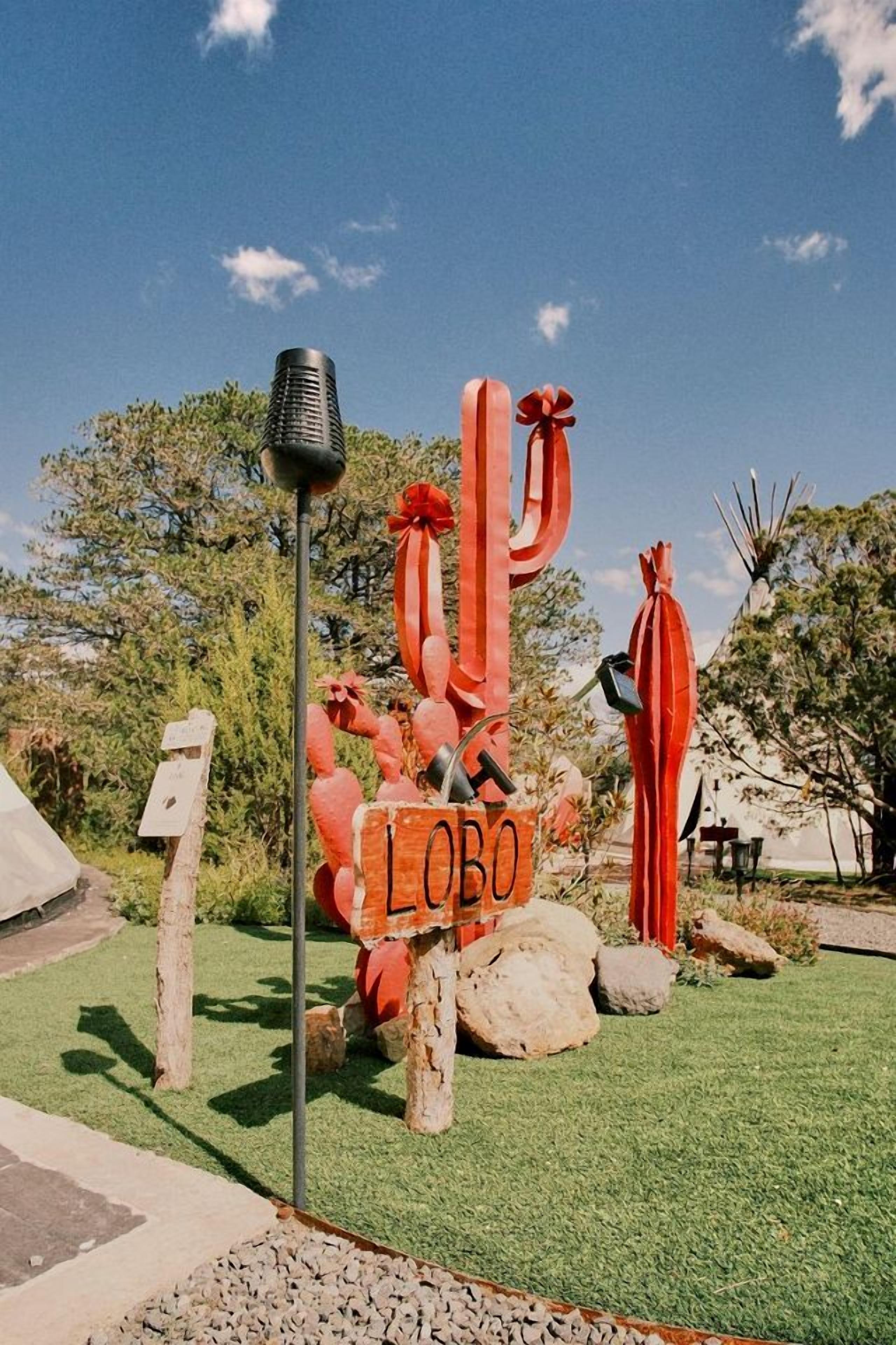 Une sculpture de cactus, accompagnée d’une pancarte sur laquelle on peut lire « LOBO », dans un espace aménagé avec des rochers et un poteau métallique.
