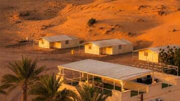 A desert landscape with a modern building featuring multiple rooms, palm trees, and a clear sky.