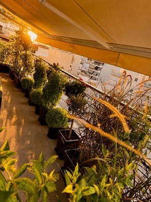 Una terraza en la azotea con plantas en macetas y vistas panorámicas de la ciudad.