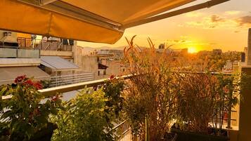 A rooftop terrace with potted plants and a view of the sunset.