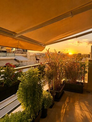 Una terraza en la azotea con plantas en macetas y vistas al atardecer.