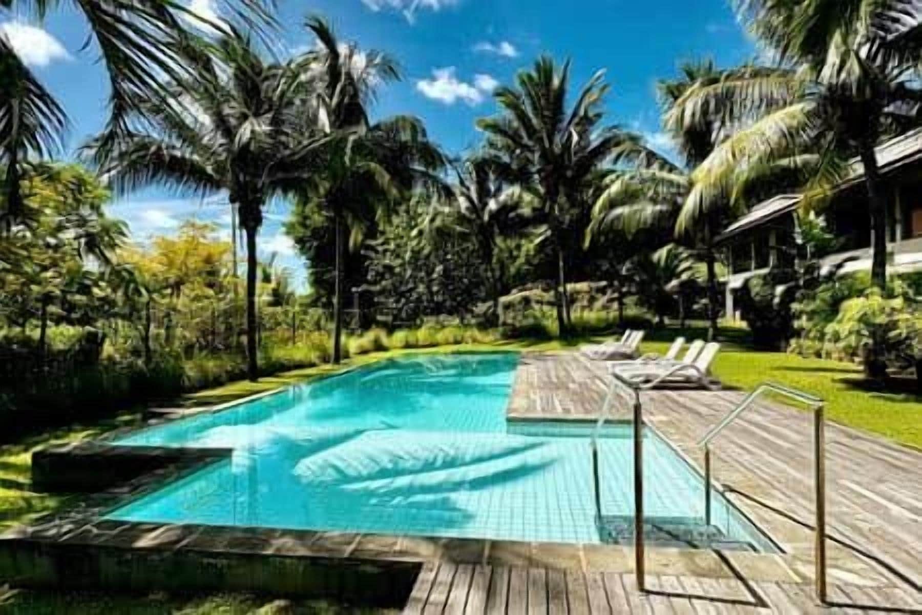 Una piscina con muelle de madera, rodeada de palmeras y follaje.