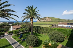 A residential area with a prominent palm tree, a pathway, and a view of the sea.