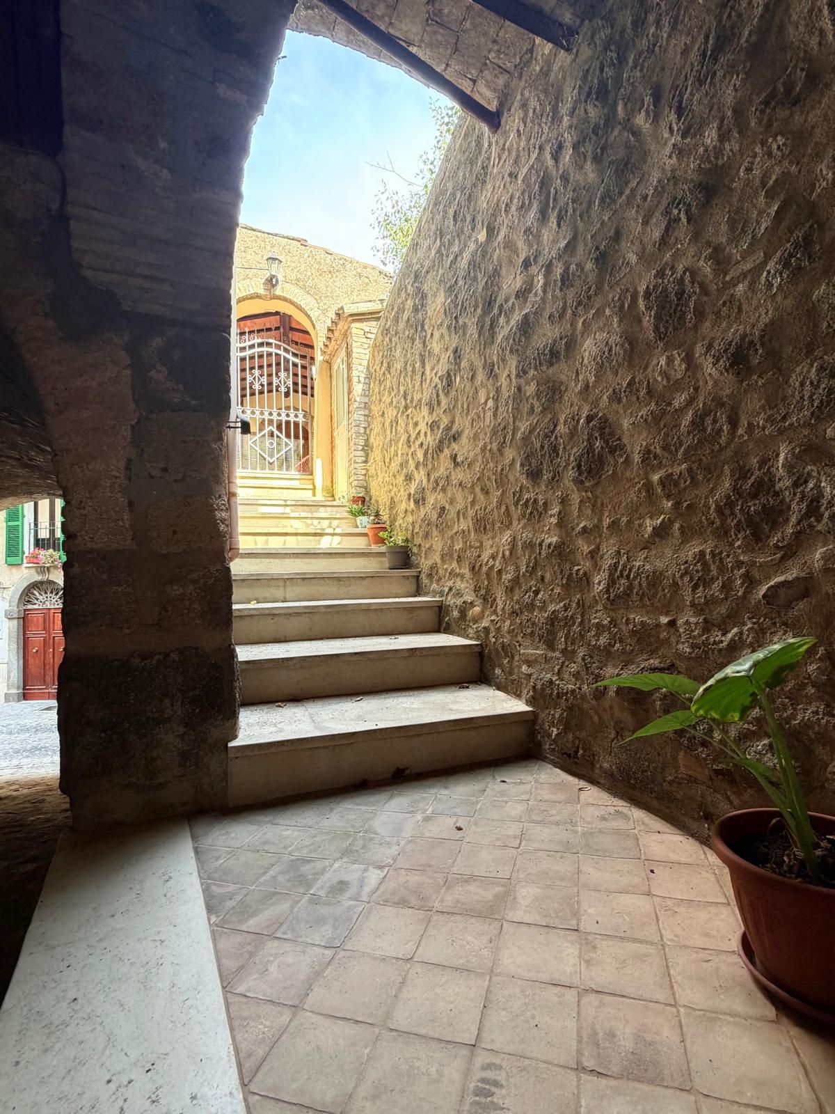Una escalera de piedra conduce a la entrada de un edificio, con una planta en maceta a la derecha.