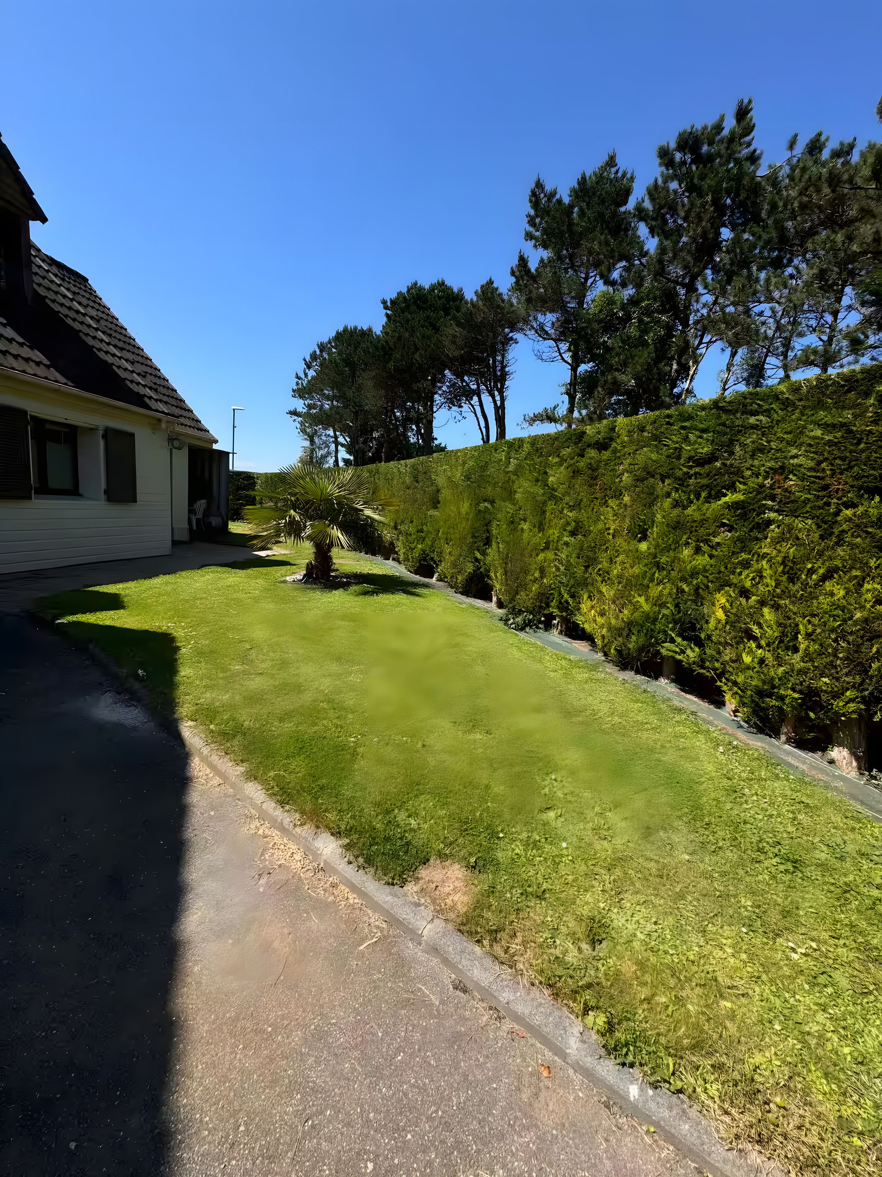 A residential property with a well-maintained lawn, a paved driveway, and a hedge.