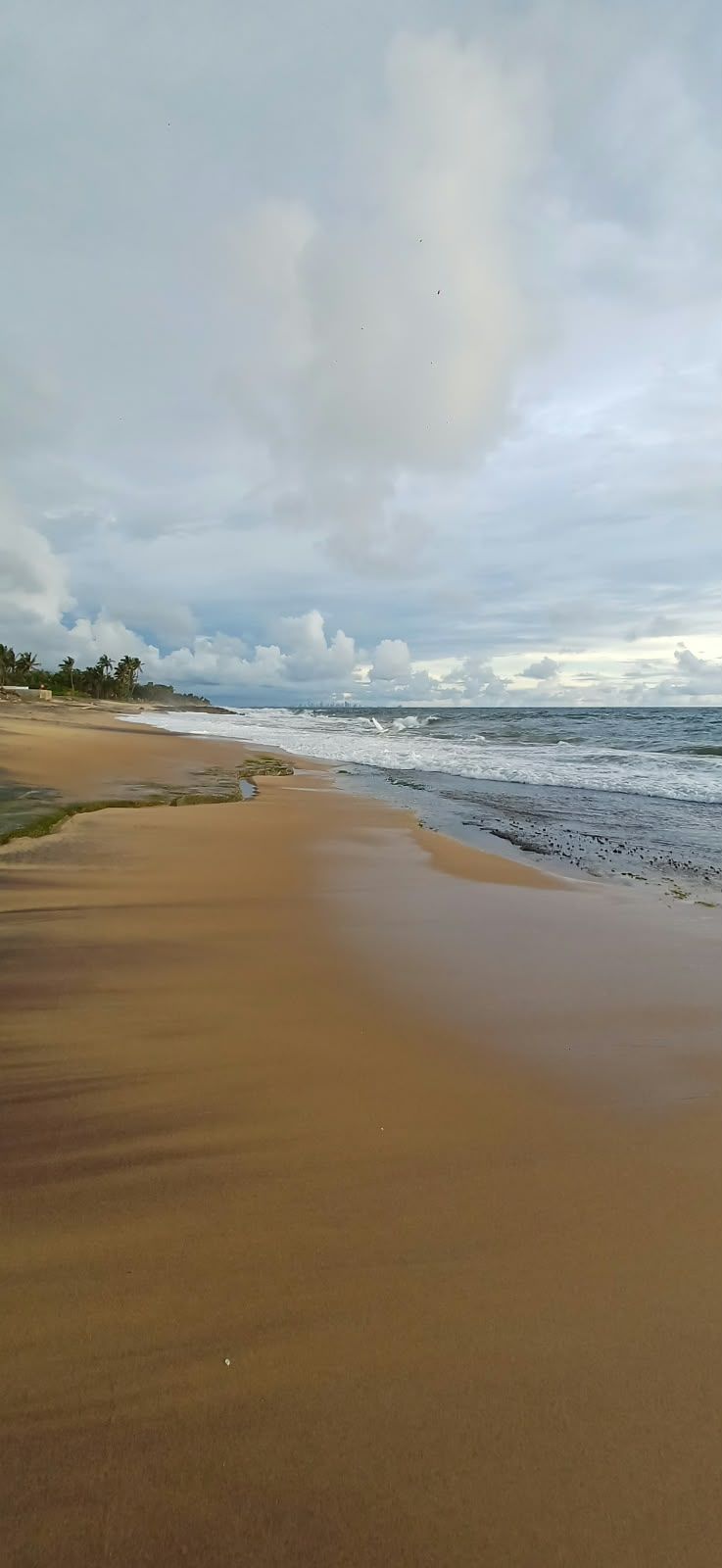 Una playa con arena y olas del océano.