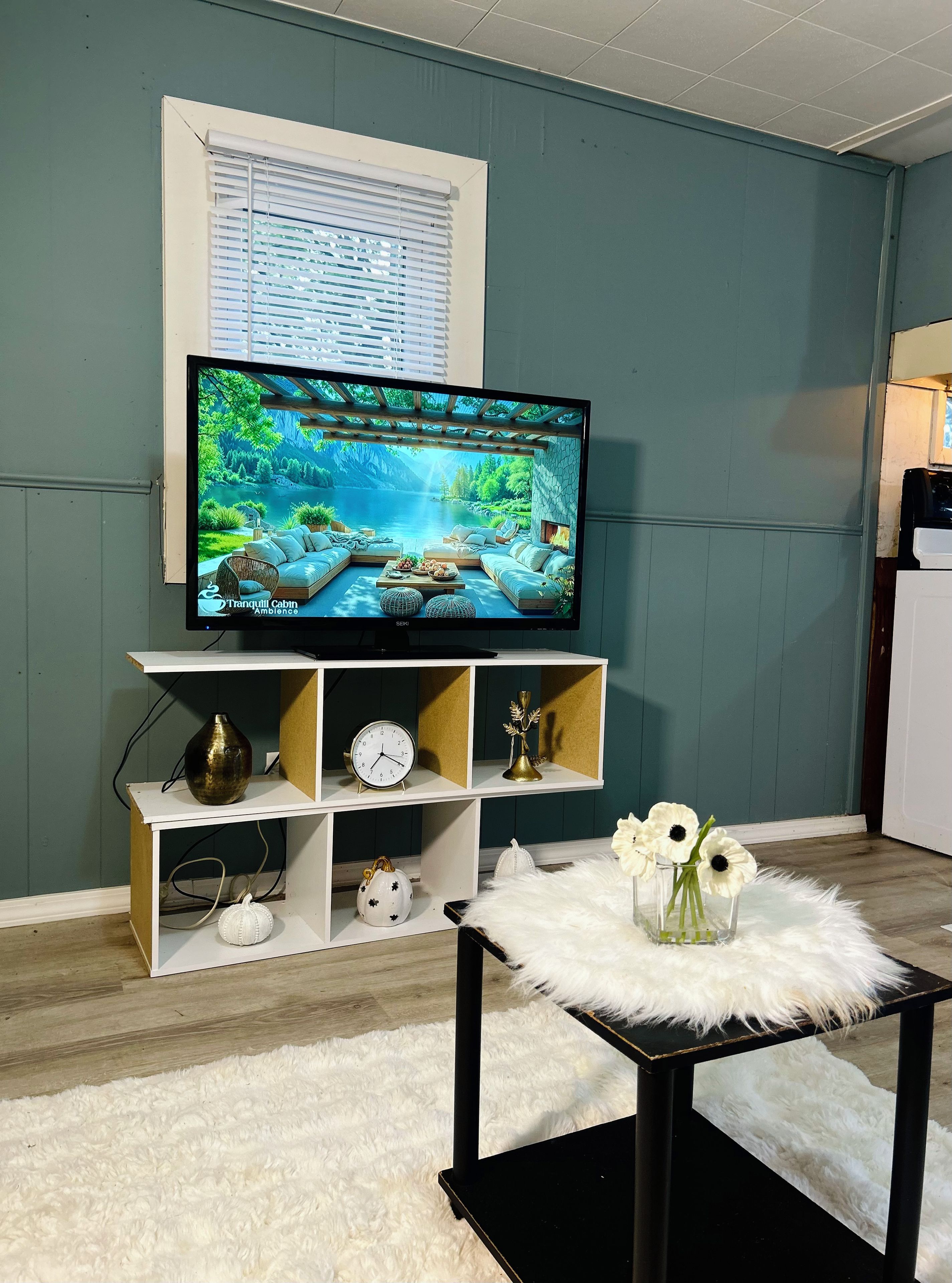 A living room with a television displaying a scenic image, a white shelf with decorative items, and a fluffy white rug.