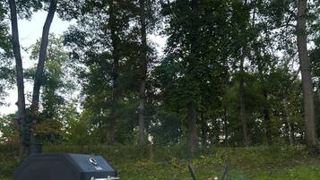 Un espace extérieur aménagé pour les barbecues, avec un gril, un foyer et des sièges.