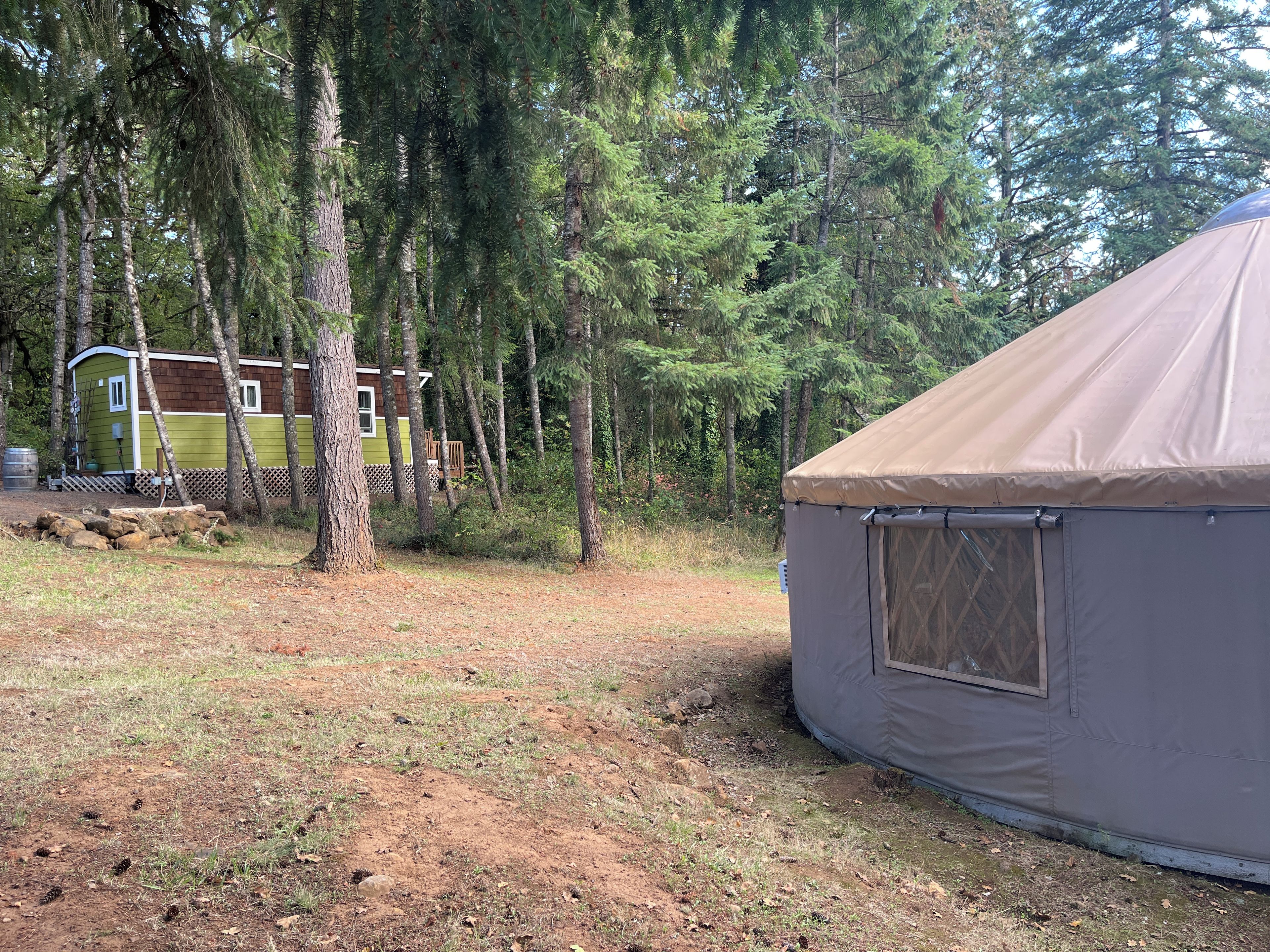 A yurt with a beige exterior and a small window, surrounded by a forested area with tall trees and a green building in the background.