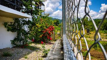 Un sendero en un jardín con valla de metal, follaje y cielo despejado.