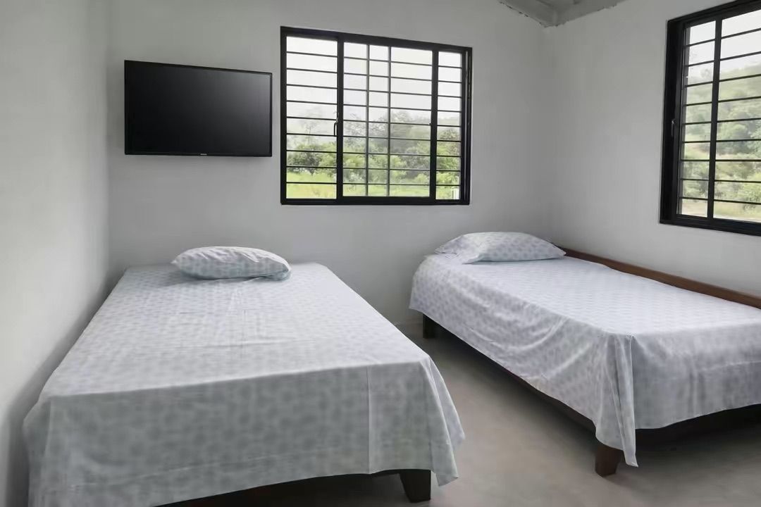 Habitación con dos camas individuales, un televisor de pantalla plana montado en la pared y ventanas amplias con vistas a zonas verdes.