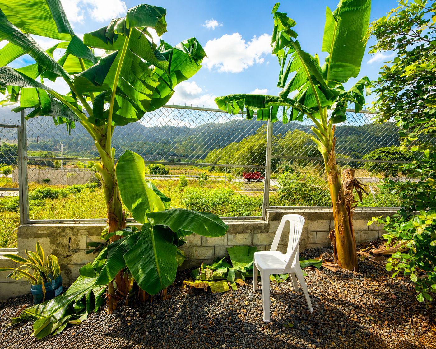 Una silla de plástico blanca en un jardín con palmeras y vistas a un paisaje montañoso a través de una cerca de alambre.