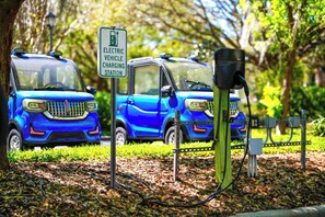 Zwei Elektroautos laden an einer Station in einem Park mit Bäumen und Gras auf.