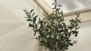Uma mesa com um vaso branco contendo folhagem verde, uma vela e esferas decorativas.