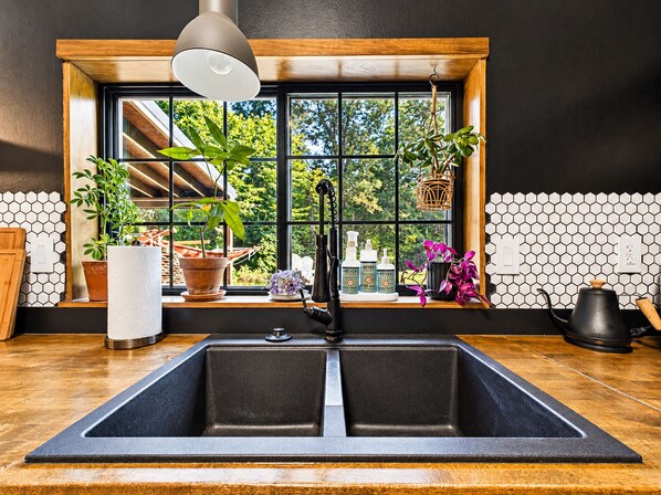 A kitchen with a double sink, wooden countertop, potted plants, and a view through a large window.