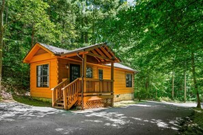 Eine Hütte mit Veranda, Treppe und Blick auf den umliegenden Wald.