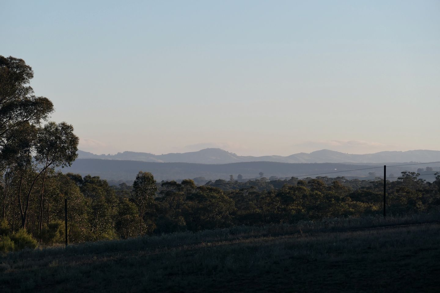 A landscape with trees and distant hills.