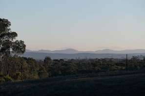 A landscape with trees and distant hills.
