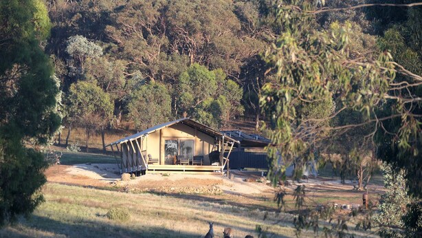 Eine Hütte mit Veranda, umgeben von Bäumen und einer Wiese.