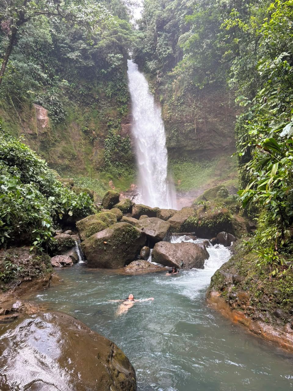 Een waterval in een weelderig, groen bosgebied, met iemand die in het water zwemt.