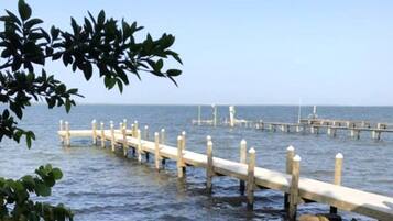 A wooden pier extending into calm water, surrounded by a stone wall and greenery.