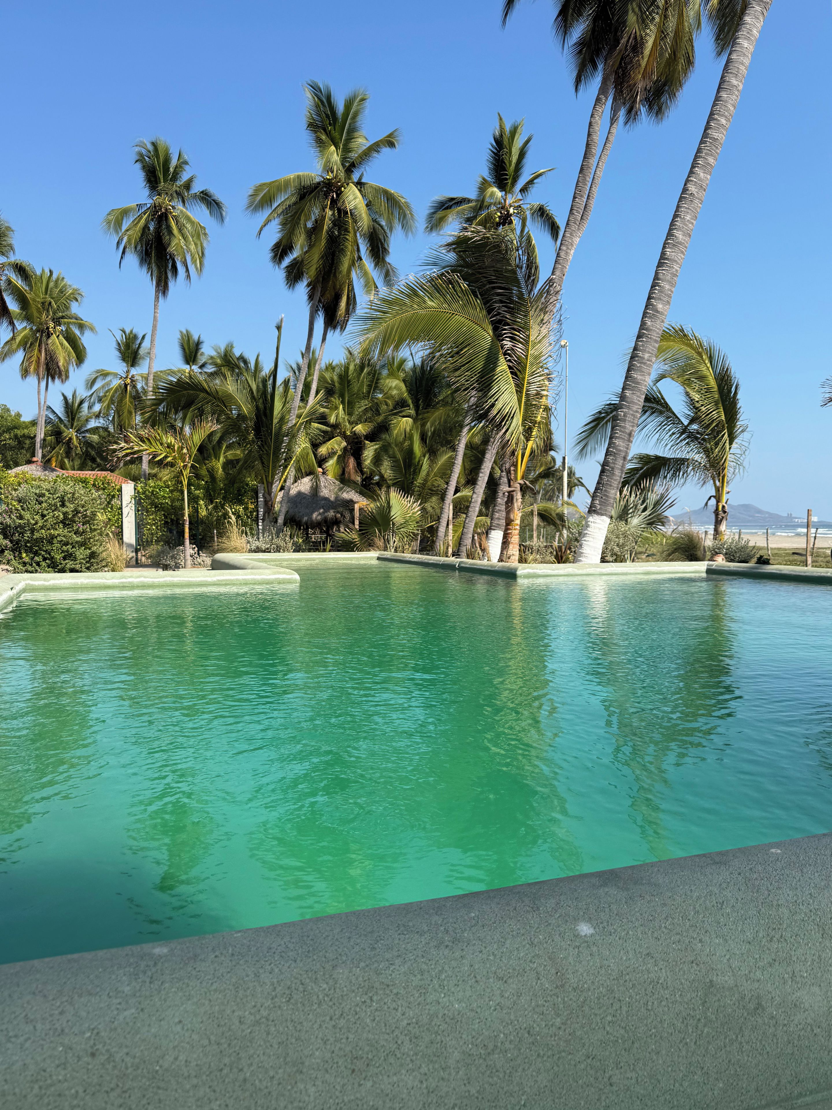 A swimming pool surrounded by palm trees and a clear blue sky.