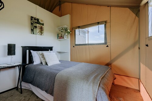 Beautiful Safari Tent on a Gorgeous Vineyard near Hastings, North Island
