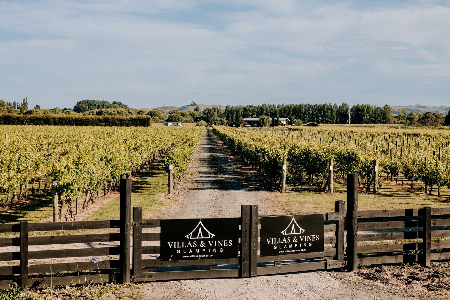 A vineyard with a wooden gate and signage for Villas & Vines Glamping.