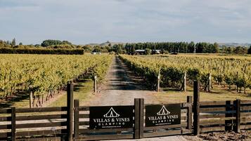 A vineyard with a wooden gate and signage for Villas & Vines Glamping.