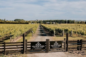 A vineyard with a wooden gate and signage for Villas & Vines Glamping. - Beautiful Safari Tent on a Gorgeous Vineyard near Hastings, North Island (Hastings)