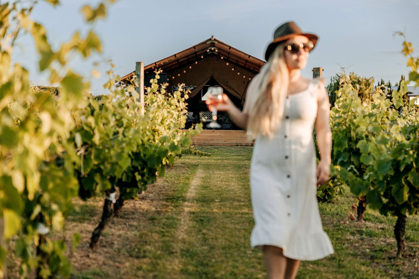 Un vignoble avec des rangées de vignes et un bâtiment en arrière-plan.