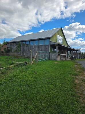 Ein rustikaler Schuppen mit grüner Fassade und einem Metalldach, umgeben von einem grünen Feld.