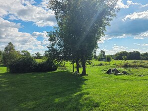 Ein grasbewachsenes Feld mit Bäumen und einer kleinen Struktur in der Ferne.