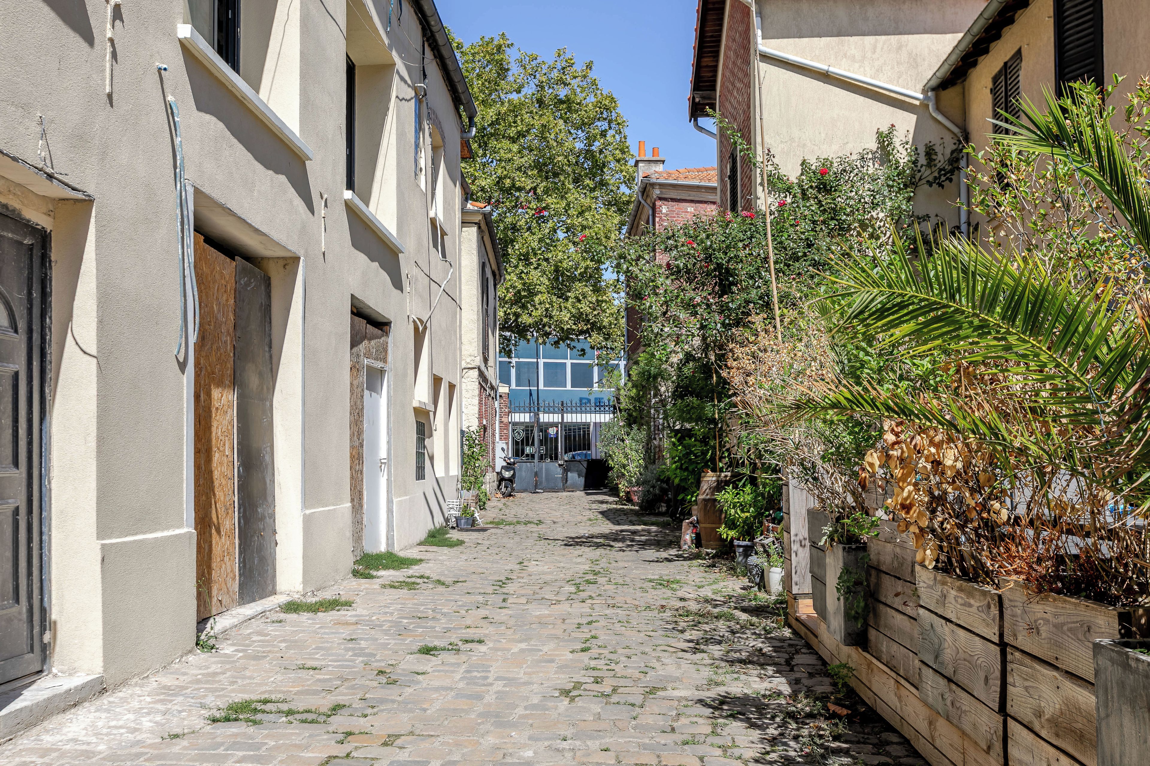 A narrow cobblestone street flanked by buildings with a mix of residential and commercial properties, a clear blue sky, and a variety of vegetation.