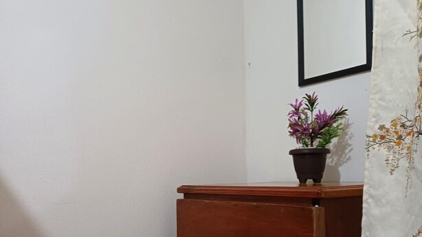 A corner room with a wooden cabinet, a potted plant, and a framed picture on the wall. - Cozy Ground-Floor Apartment Near U Mondragón, Industrial Area (Real Solare)