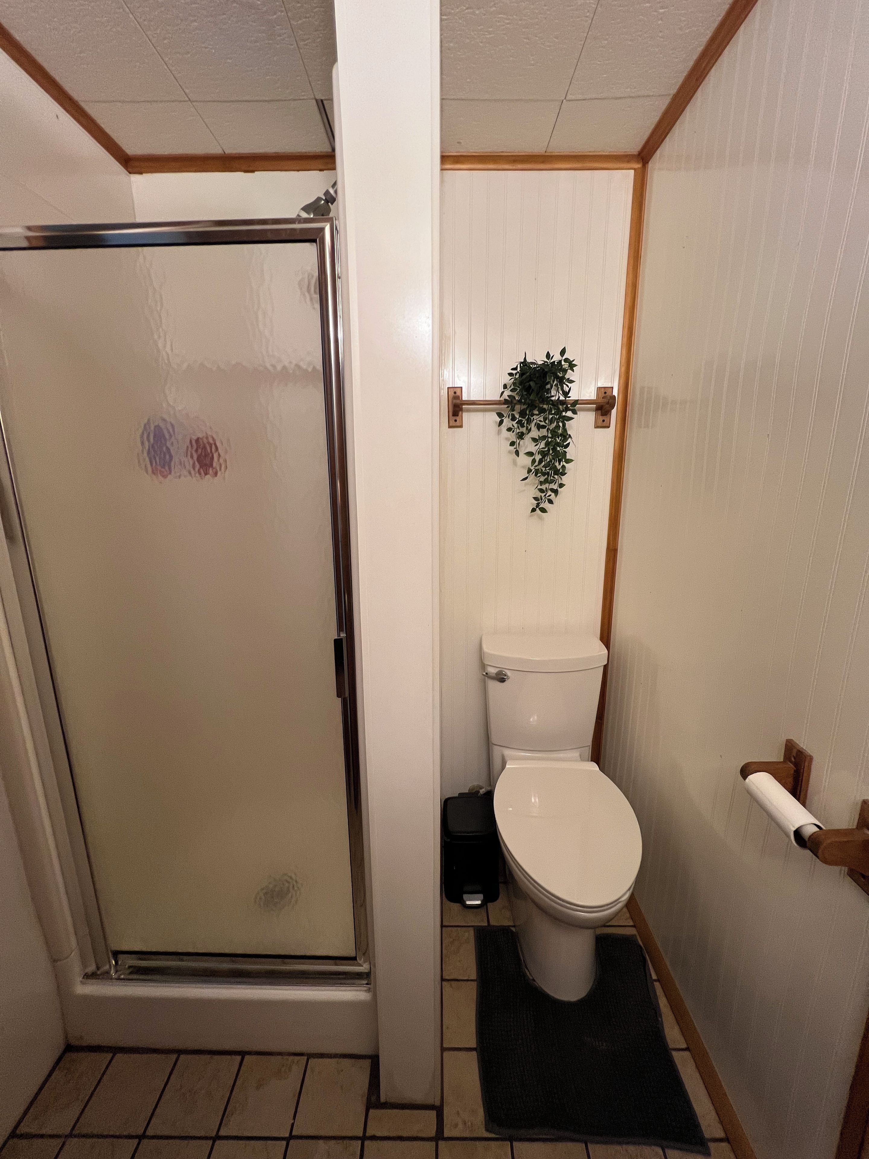 A bathroom with a glass shower enclosure, a toilet, and a small plant on the wall.