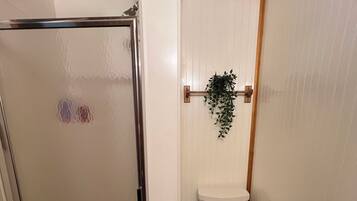 A bathroom with a glass shower enclosure, a toilet, and a small plant on the wall.