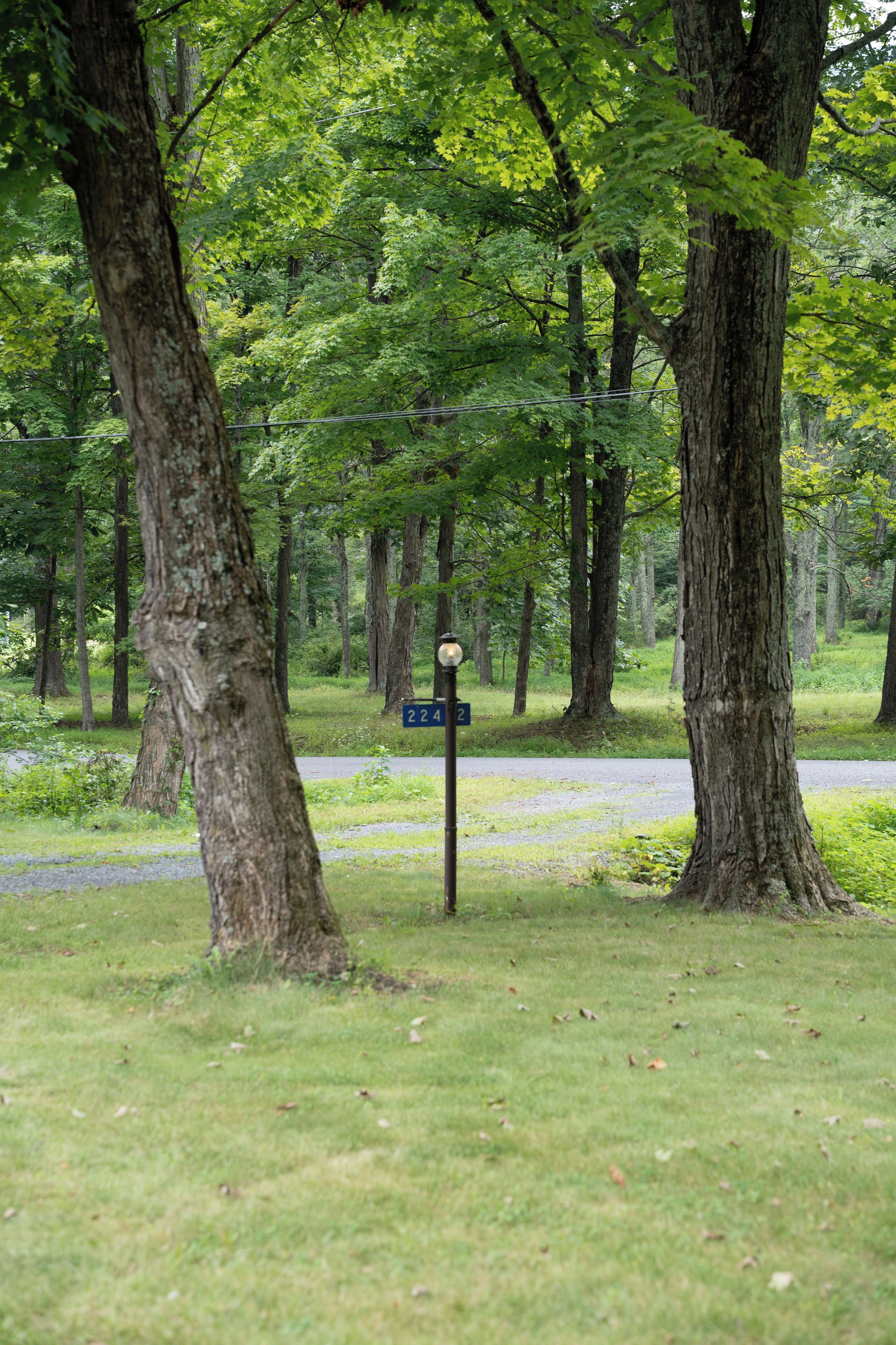 A signpost with a directional arrow in a wooded area.