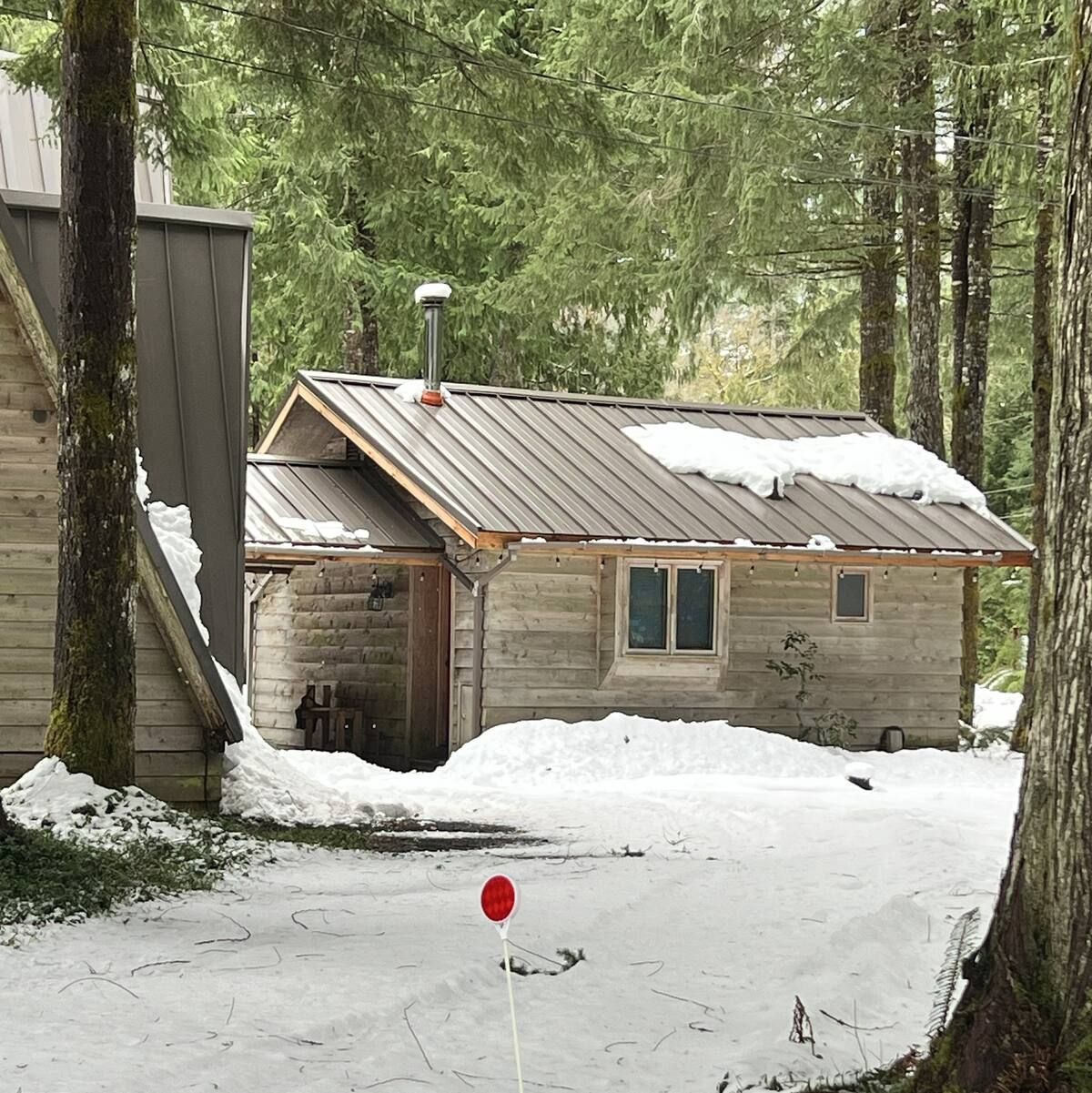 A cabin with a metal roof, surrounded by snow and trees.