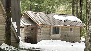 A cabin with a metal roof, surrounded by snow and trees.