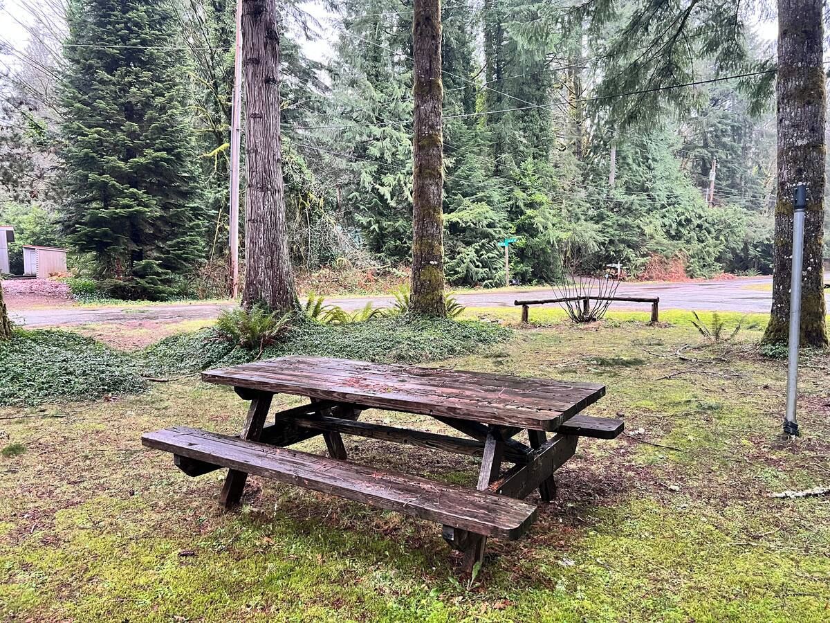 A picnic table in a forested area with a road and a bench in the background.