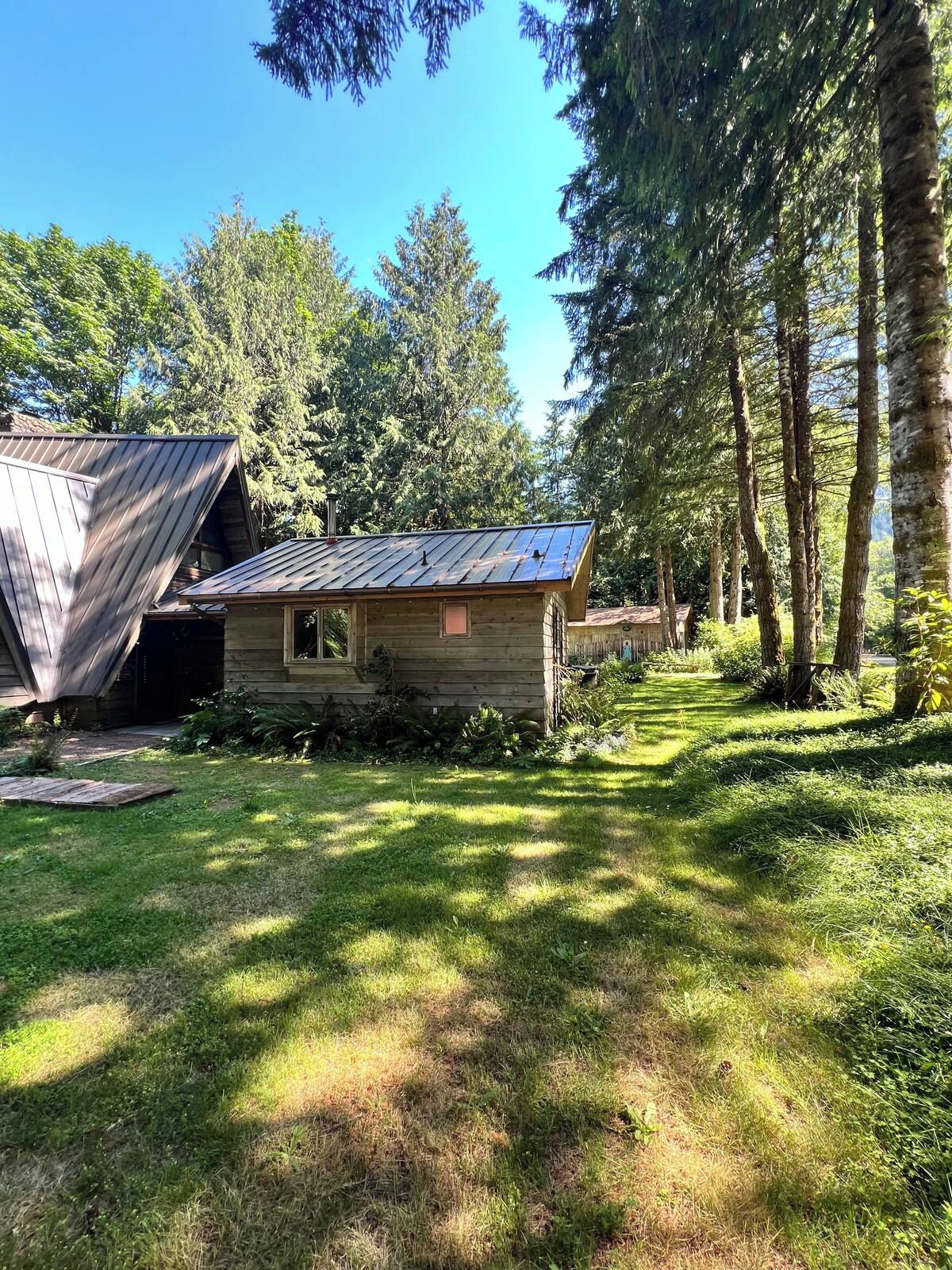 A rustic cabin with a sloped roof, surrounded by dense forest and a grassy yard.