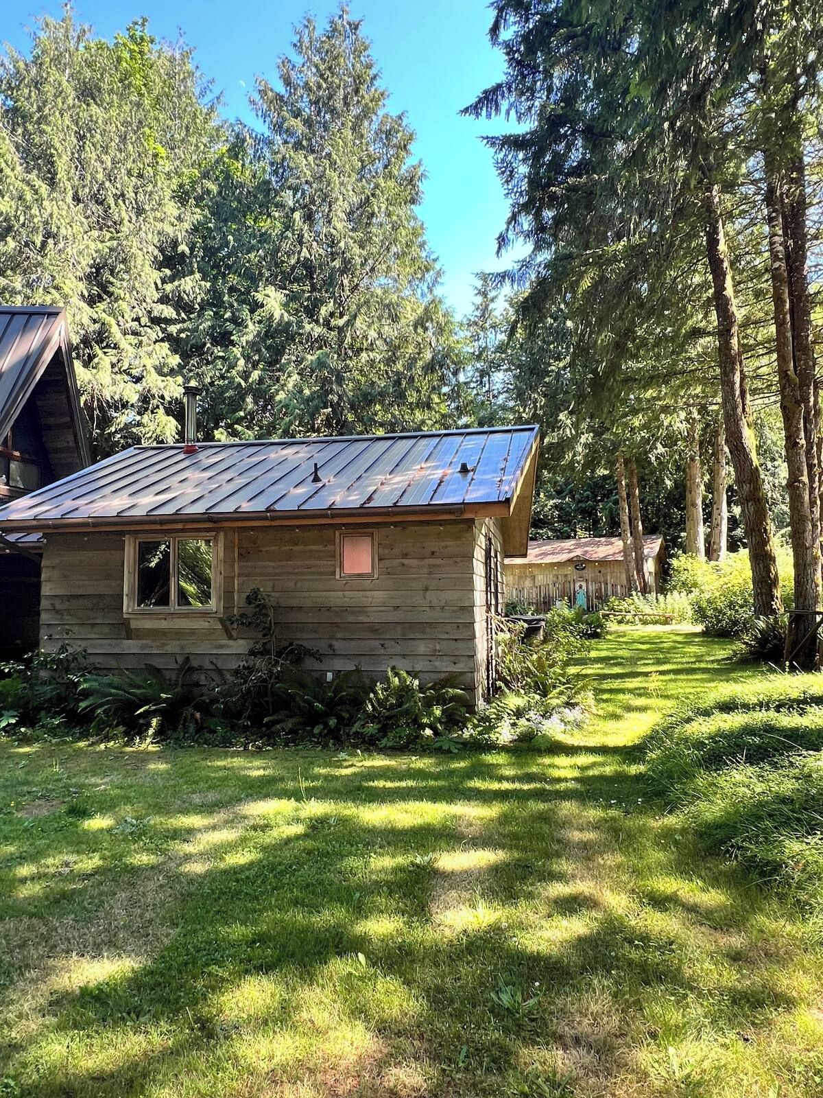 Eine Holzhütte mit Metall-Dach, umgeben von Bäumen und einer grünen Wiese.