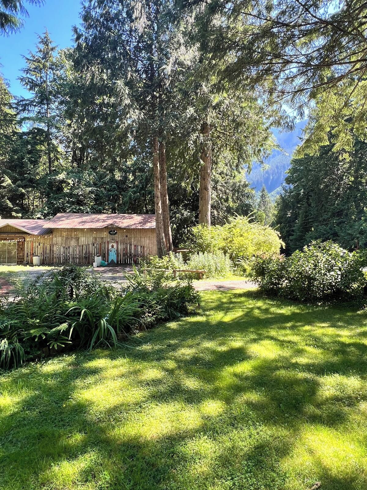 A rustic wooden building with a metal roof, surrounded by lush greenery and tall trees.