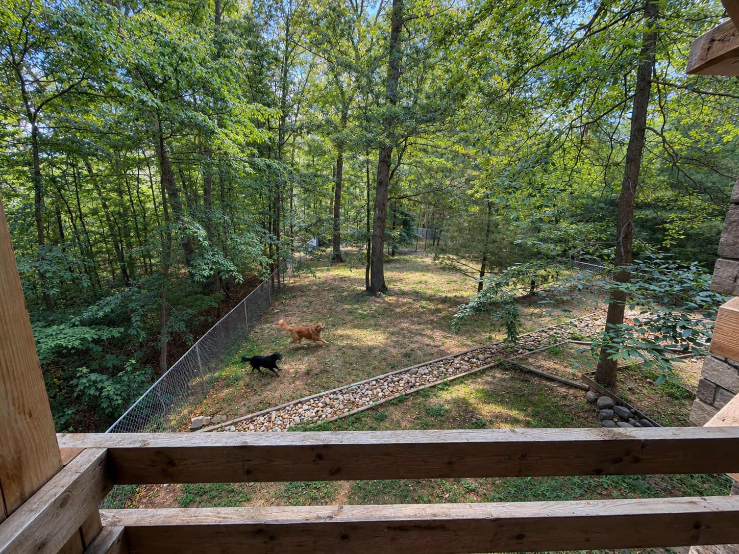 A fenced outdoor area with trees and a wooden deck.