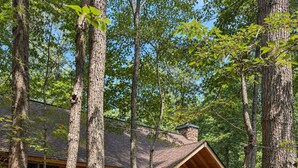 Eine Blockhütte mit Veranda, umgeben von Bäumen und einem Steinweg.