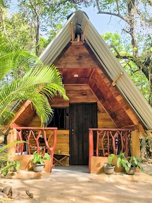 A wooden cabin with a pitched roof, a dark door, and a porch with potted plants.