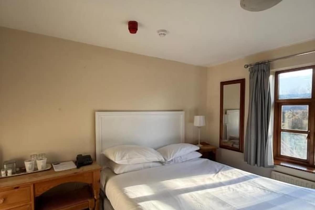 Habitación básica doble, vista al jardín | Wifi gratis 