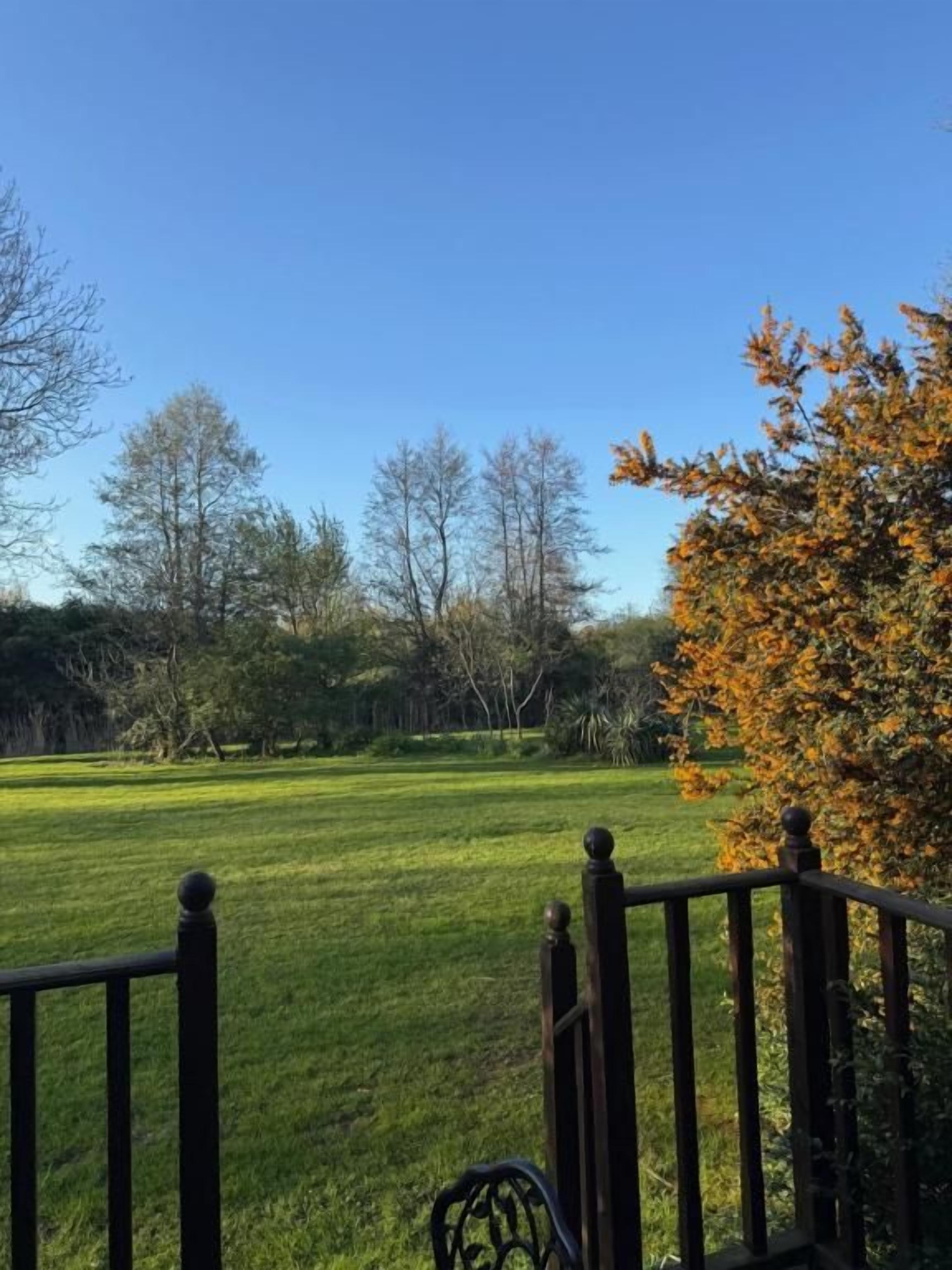 A grassy field with trees and a wooden fence.
