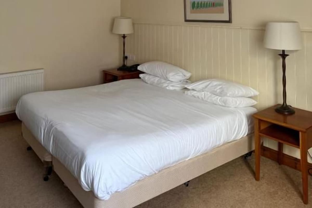 Habitación doble clásica, 1 cama King size, vista al patio | Wifi gratis 